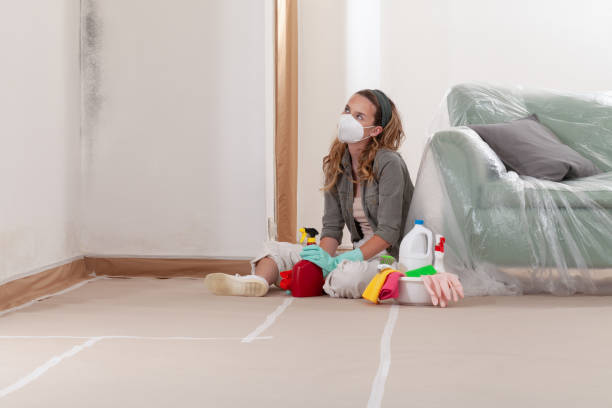 Reliable Mold Remediation contractor in Denton, TX by WQB Mold Removal